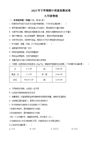 湖南省岳阳市临湘市2023-2024学年九年级上学期期中物理试题