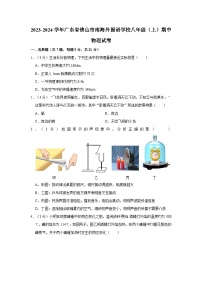 广东省佛山市南海外国语学校2023-2024学年八年级上学期期中考试物理试卷