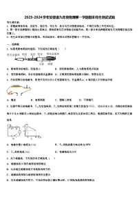 2023-2024学年安徽省九年级物理第一学期期末综合测试试题