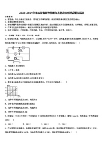 2023-2024学年安徽省联考物理九上期末综合测试模拟试题