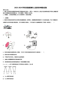 2023-2024学年安徽省物理九上期末统考模拟试题