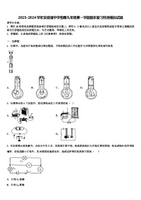 2023-2024学年安徽省中学物理九年级第一学期期末复习检测模拟试题