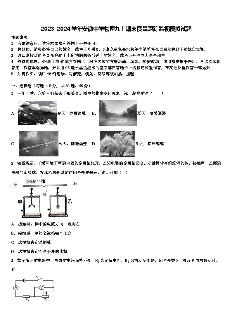 2023-2024学年安徽中学物理九上期末质量跟踪监视模拟试题01