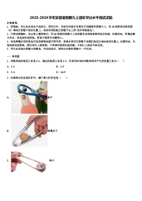 2023-2024学年安徽省物理九上期末学业水平测试试题