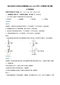 湖北省武汉市武昌区拼搏联盟2023—2024学年上学期期中联考九年级物理化学试题（解析版）