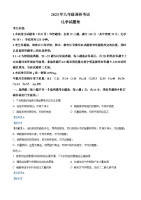 湖北省咸宁市赤壁市2023年九年级中考调研考试物理化学合卷（解析版）