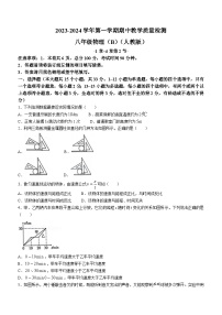 河北省沧州市献县第五中学2023-2024学年八年级上学期11月期中物理试题(无答案)