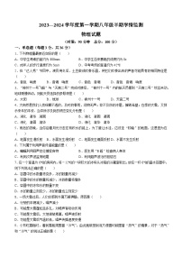 四川省资阳市安岳县李家初级中学2023-2024学年八年级上学期11月期中物理试题(无答案)