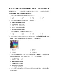 山东省济南市钢城区2023-2024学年九年级上学期期中考试物理试卷