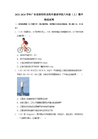 广东省深圳市龙岗外国语学校2023-2024学年八年级上学期期中物理试卷