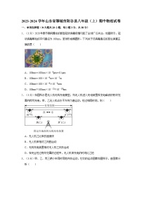 山东省聊城市阳谷县2023-2024学年八年级上学期期中物理试卷