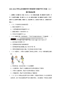 山东省德州市宁津县第六实验中学2023-2024学年八年级上学期期中物理试卷