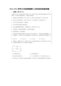 山东省齐河县马集乡中学2023-2024学年上学期期中考试九年级物理试题