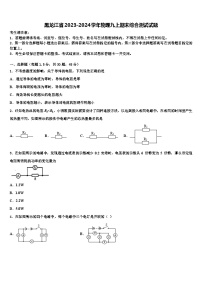 黑龙江省2023-2024学年物理九上期末综合测试试题