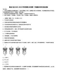 黑龙江省2023-2024学年物理九年级第一学期期末综合测试试题