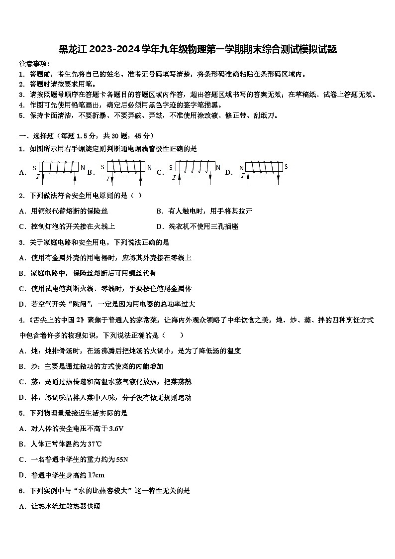 黑龙江2023-2024学年九年级物理第一学期期末综合测试模拟试题第1页