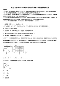 黑龙江省2023-2024学年物理九年级第一学期期末调研试题