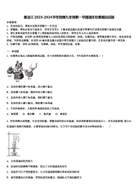 黑龙江2023-2024学年物理九年级第一学期期末经典模拟试题