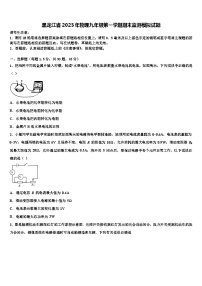 黑龙江省2023年物理九年级第一学期期末监测模拟试题