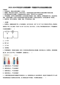 2023-2024学年北京九年级物理第一学期期末学业质量监测模拟试题