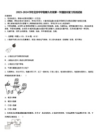 2023-2024学年北京中学物理九年级第一学期期末复习检测试题