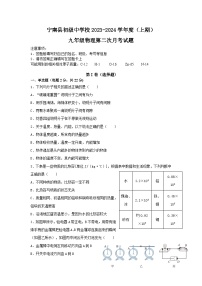 四川省凉山州宁南县初级中学校2023-2024学年九年级上学期12月月考物理试题