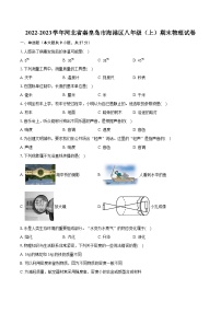 2022-2023学年河北省秦皇岛市海港区八年级（上）期末物理试卷（含答案解析）