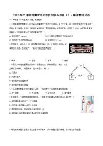 2022-2023学年河南省洛阳市伊川县八年级（上）期末物理试卷（含答案解析）