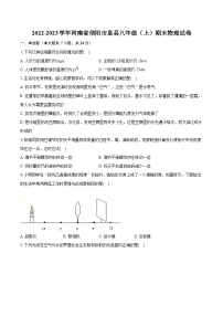 2022-2023学年河南省信阳市息县八年级（上）期末物理试卷（含答案解析）