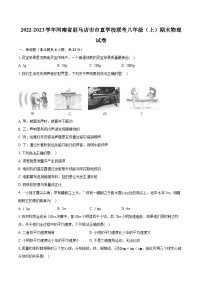 2022-2023学年河南省驻马店市市直学校联考八年级（上）期末物理试卷（含答案解析）