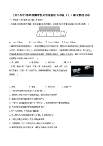 2022-2023学年湖南省岳阳市临湘市八年级（上）期末物理试卷（含答案解析）