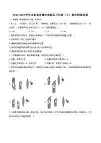 2022-2023学年山东省济南市高新区八年级（上）期末物理试卷(含详细答案解析)