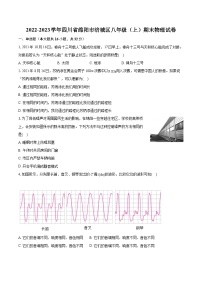 2022-2023学年四川省绵阳市涪城区八年级（上）期末物理试卷(含答案解析)