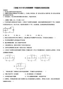 江西省2023年九年级物理第一学期期末达标测试试题