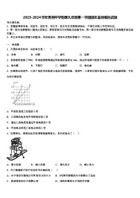 2023-2024学年贵州中学物理九年级第一学期期末监测模拟试题