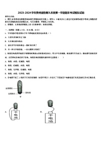 2023-2024学年贵州省物理九年级第一学期期末考试模拟试题