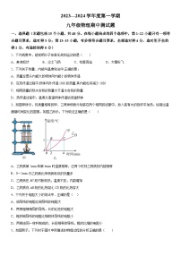 山东省惠民县2023-2024学年九年级上册期中考试物理试题（含解析）