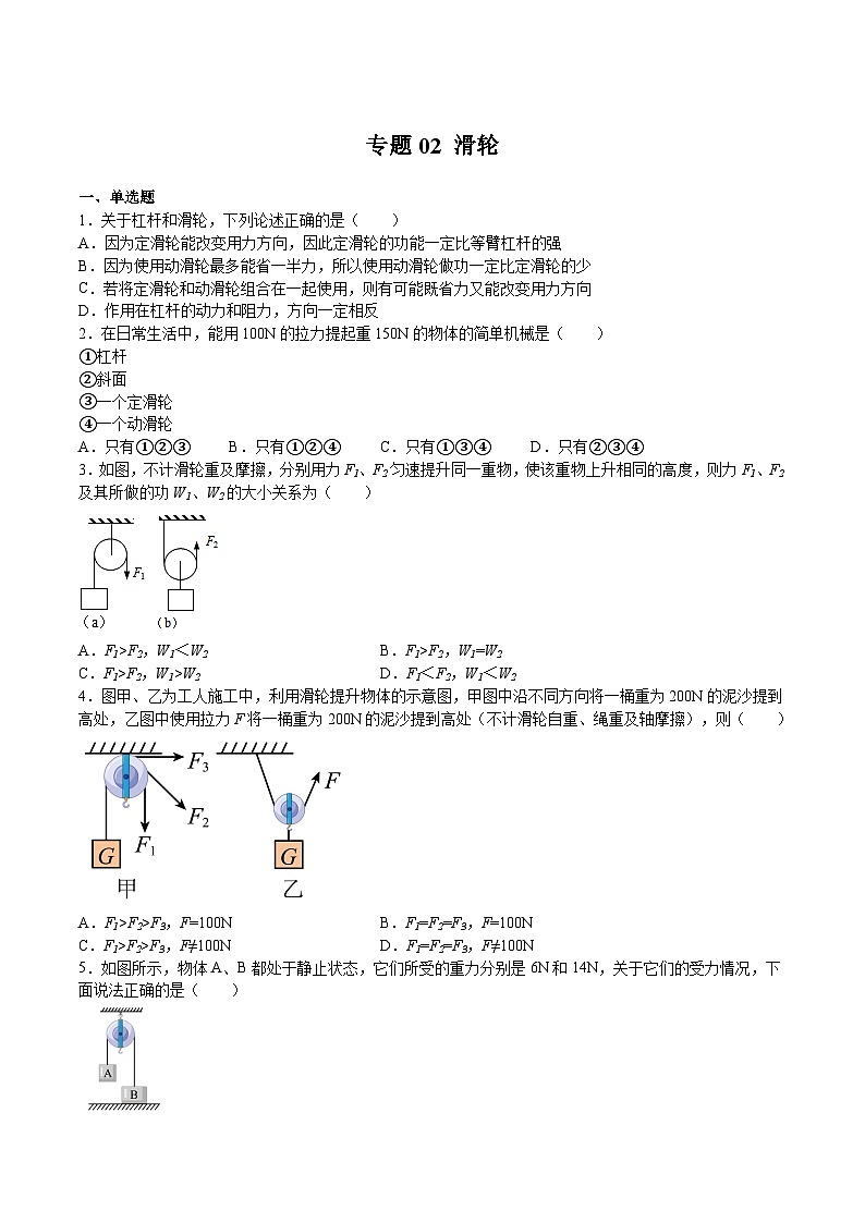 专题02 滑轮（原卷版）第1页
