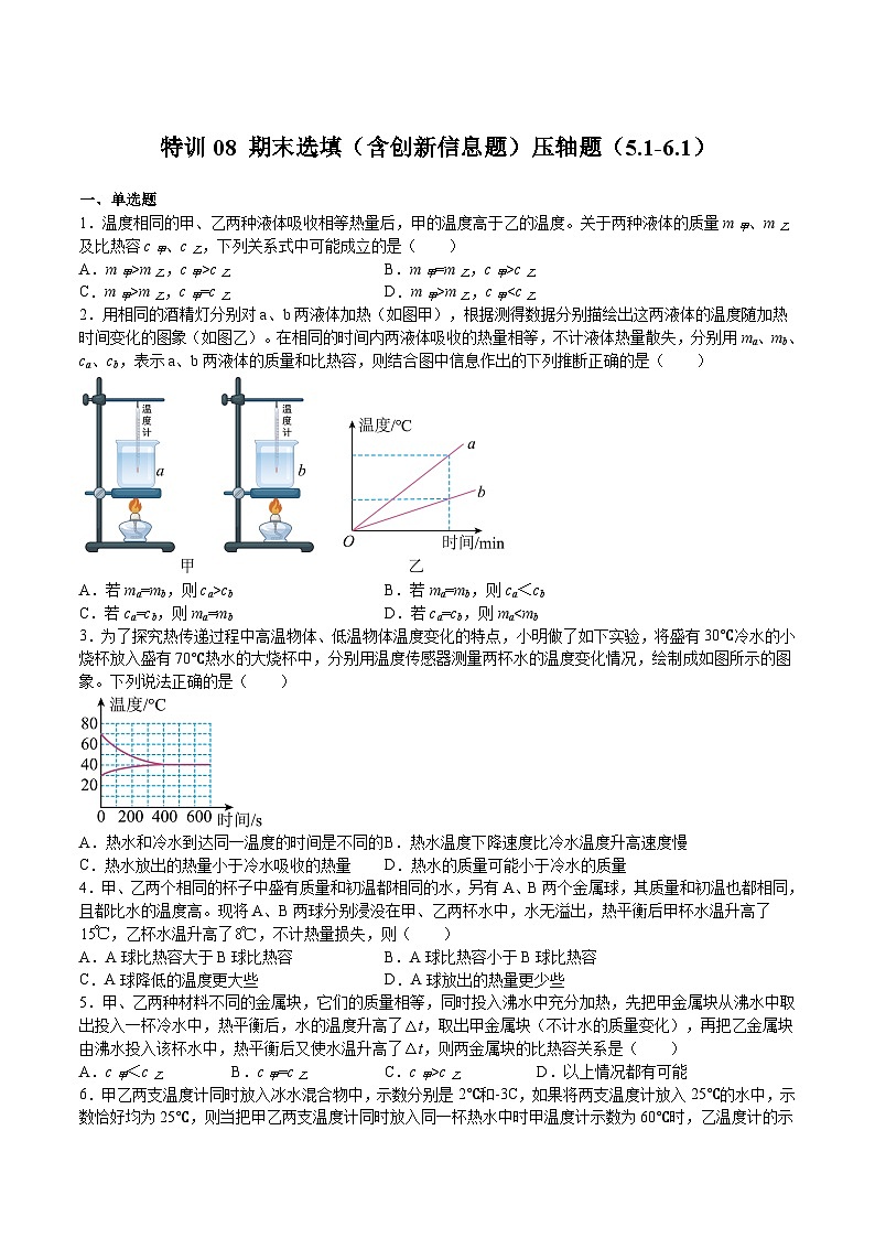 特训08 期末选填（含创新信息题）压轴题（5.1-6.1）-2023-2024学年八年级物理第二学期期中期末挑战满分冲刺卷（上海沪教版）01