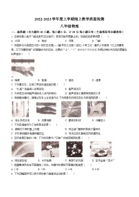 陕西省渭南市蒲城县初级实验中学2022-2023学年八年级上学期期末质量检测物理试题（线上）(无答案)