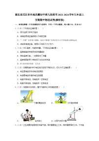 湖北省武汉市内地西藏初中班九校联考2023-2024学年九年级上学期期中物理试卷