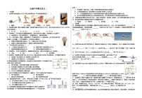 江苏省徐州市沛县汉源中学2023-2024学年上学期九年级物理期末物理试题二