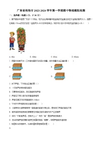 广东省珠海市2023-2024学年八年级上学期期中模拟物理试题