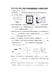 河南省郑州市枫杨外国语2023—2024学年上学期九年级月考二物理试卷