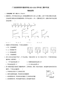 广东省深圳市外国语学校2023-2024学年九年级上学期期中考试物理试卷