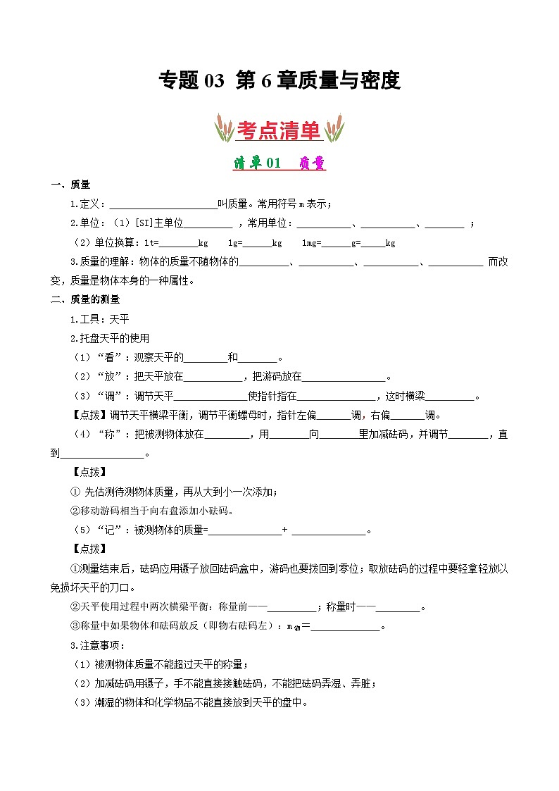 专题03 第6章质量与密度【考点清单】-2023-2024学年八年级物理上学期期末考点全预测（人教版）01