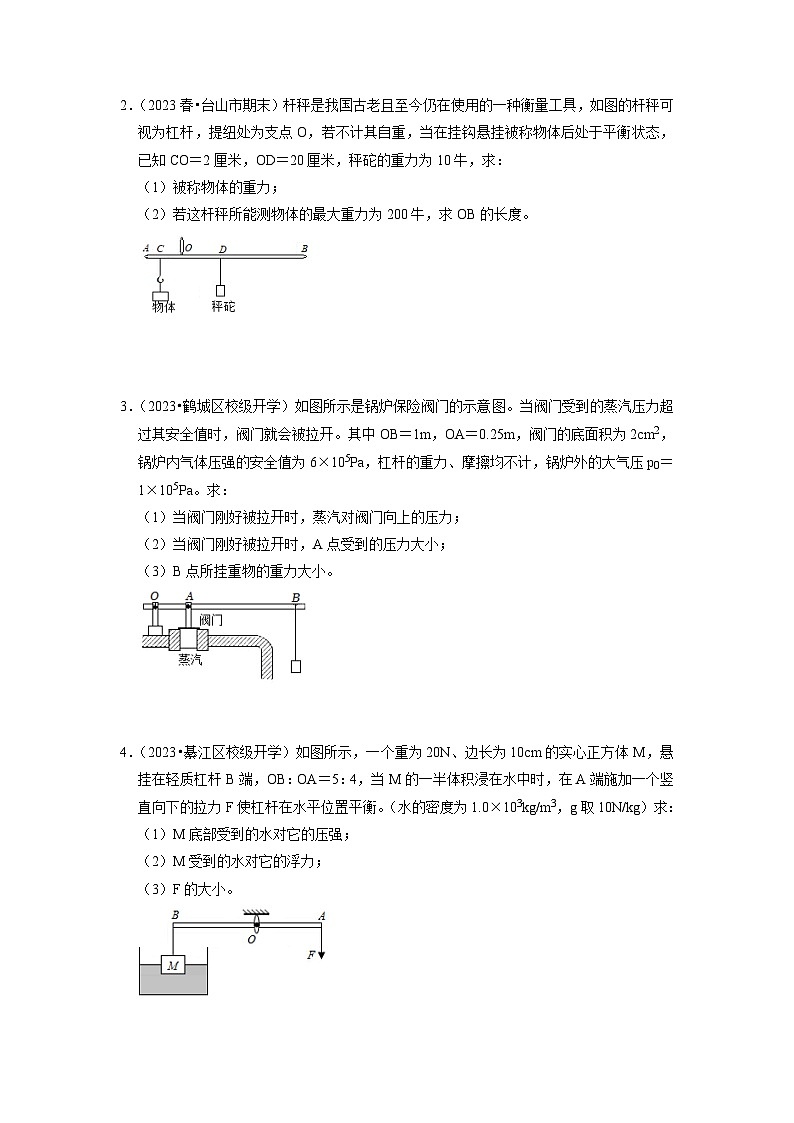 专题03  简单机械和功计算专题训练（原卷版）第2页