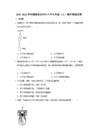 湖南省永州市第十六中学2023-2024学年九年级上学期期中物理试卷