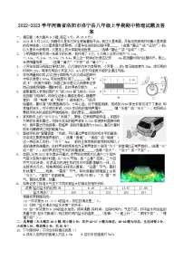 2022-2023学年河南省洛阳市洛宁县八年级上学期期中物理试题及答案