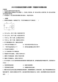 2023年安徽省名校物理九年级第一学期期末考试模拟试题